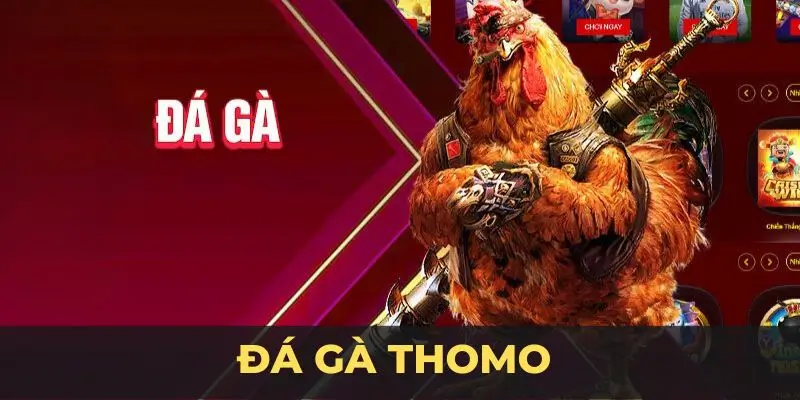 đá gà thomo